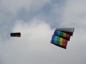 _Rexs_Kite